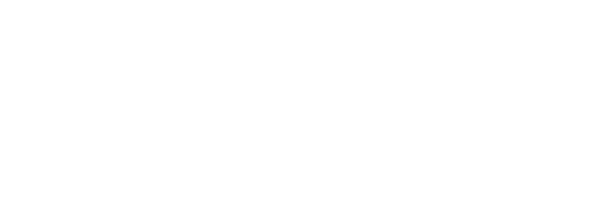 system logo